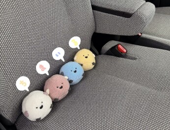 ふわっもちっかわいい♡♡♡ちまいる登場！？